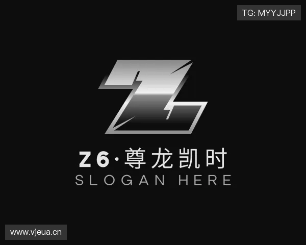 了解Z6·尊龙凯时